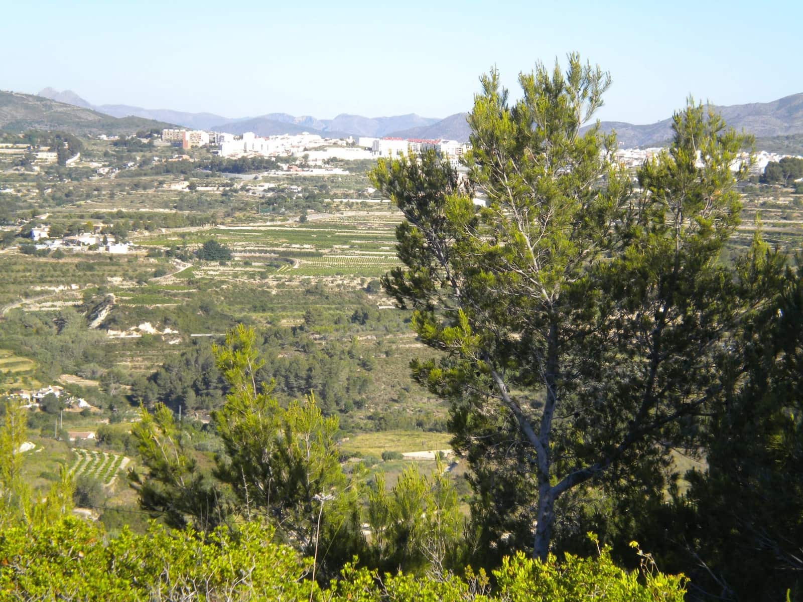 Building Plot for sale in Benissa - € 180,000 (Ref: 7271125)