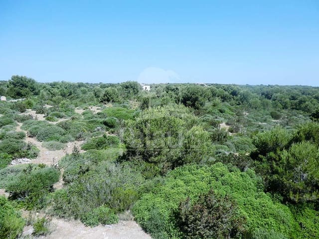 Teren niezagospodarowany na sprzedaż w Ciutadella de Menorca - 168 000 € (Ref: 4697920)