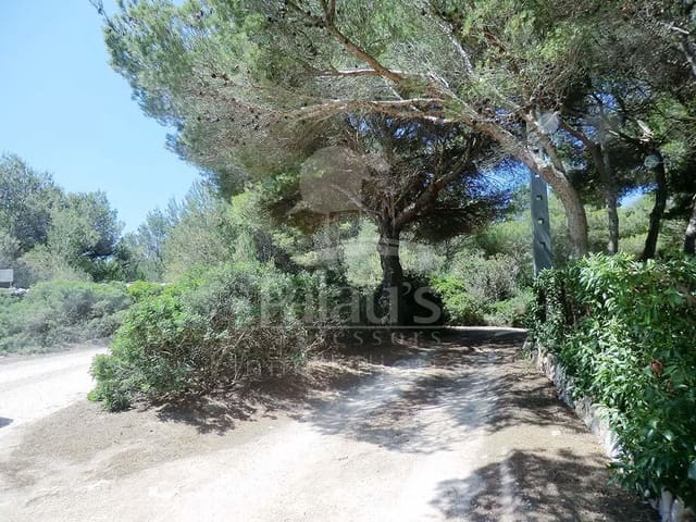 Teren niezagospodarowany na sprzedaż w Ciutadella de Menorca - 168 000 € (Ref: 4697920)