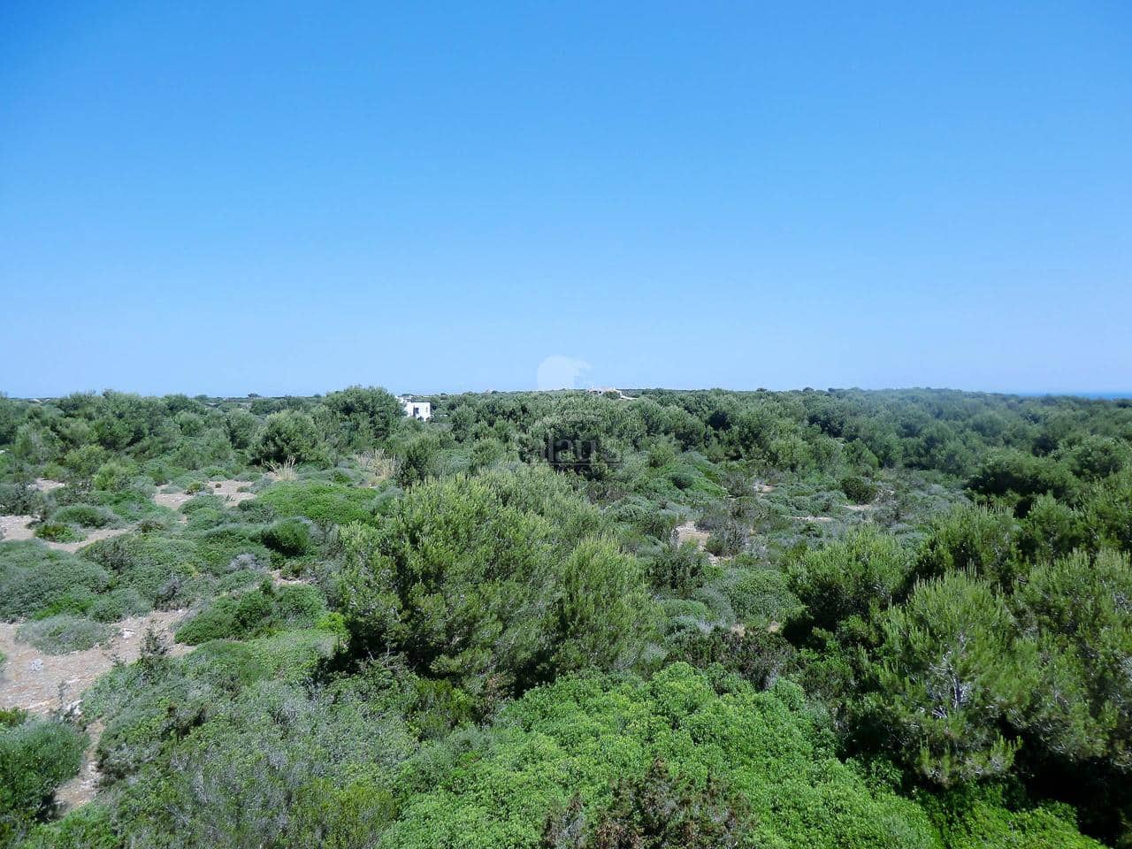 Teren niezagospodarowany na sprzedaż w Ciutadella de Menorca - 168 000 € (Ref: 4697920)