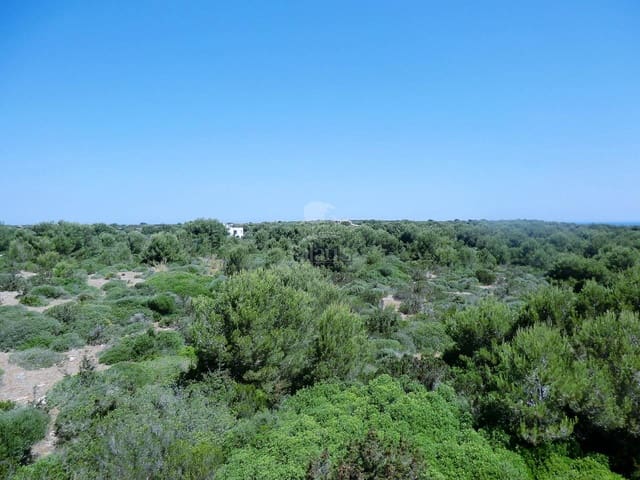 Teren niezagospodarowany na sprzedaż w Ciutadella de Menorca - 168 000 € (Ref: 4697920)