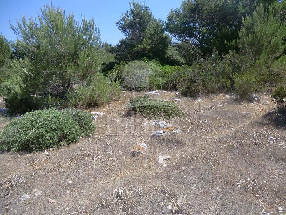 Teren niezagospodarowany na sprzedaż w Ciutadella de Menorca - 168 000 € (Ref: 4697920)