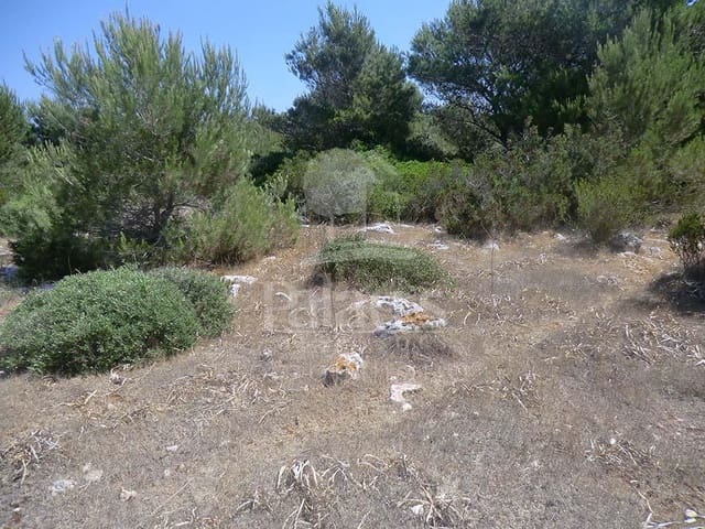 Teren niezagospodarowany na sprzedaż w Ciutadella de Menorca - 168 000 € (Ref: 4697920)