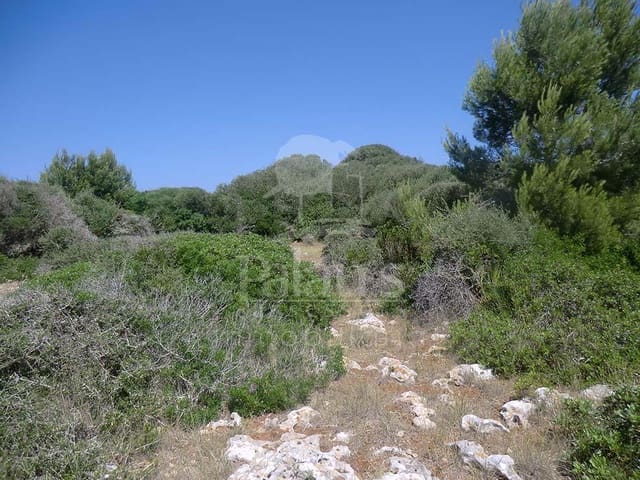 Teren niezagospodarowany na sprzedaż w Ciutadella de Menorca - 168 000 € (Ref: 4697920)