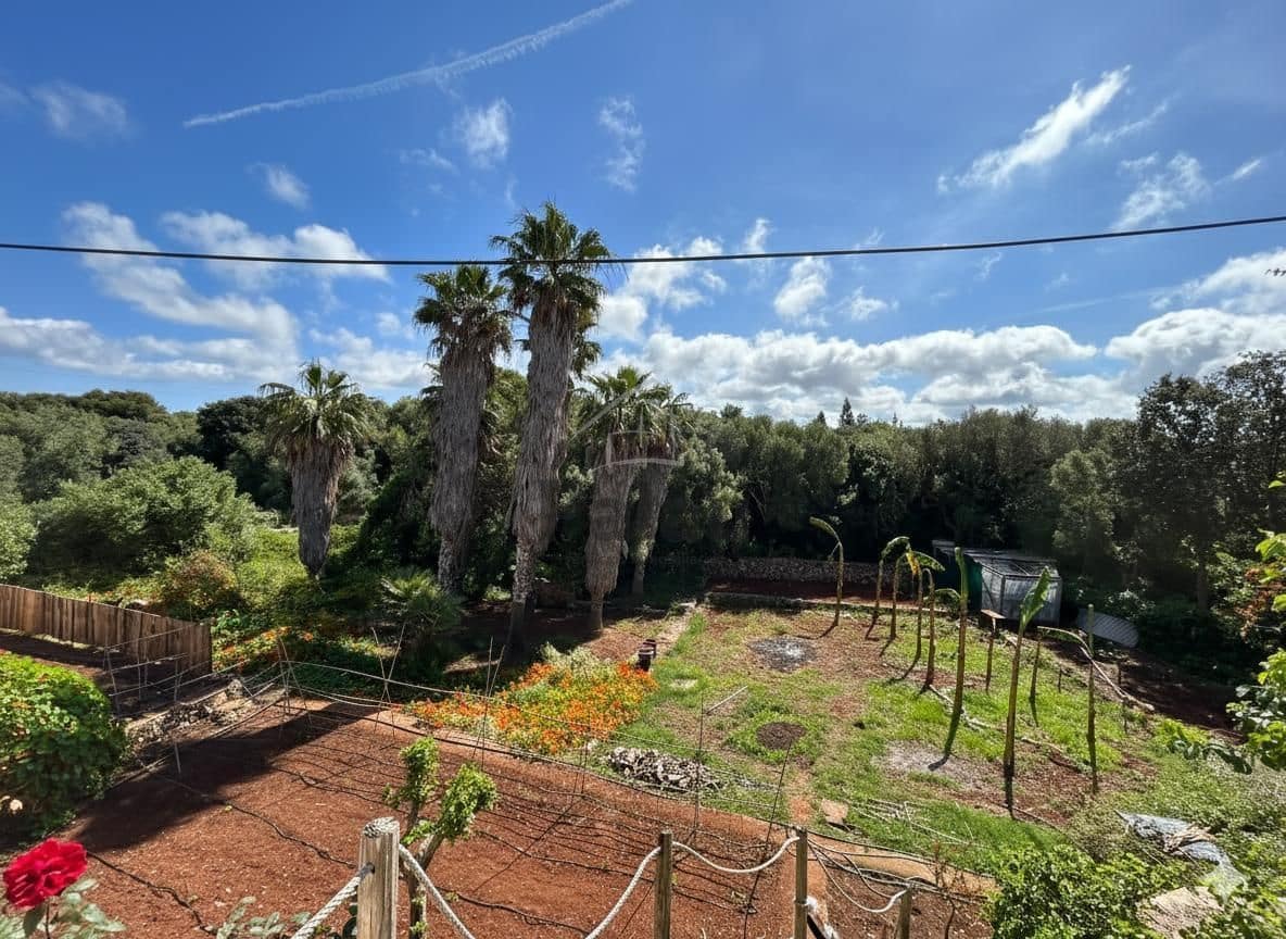 3 sypialnia Finka/Dom wiejski na sprzedaż w Ciutadella de Menorca z basenem garażem - 995 000 € (Ref: 9515924)