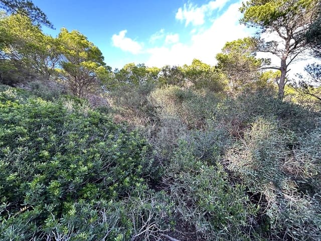 Teren niezagospodarowany na sprzedaż w Ciutadella de Menorca - 80 000 € (Ref: 9515951)