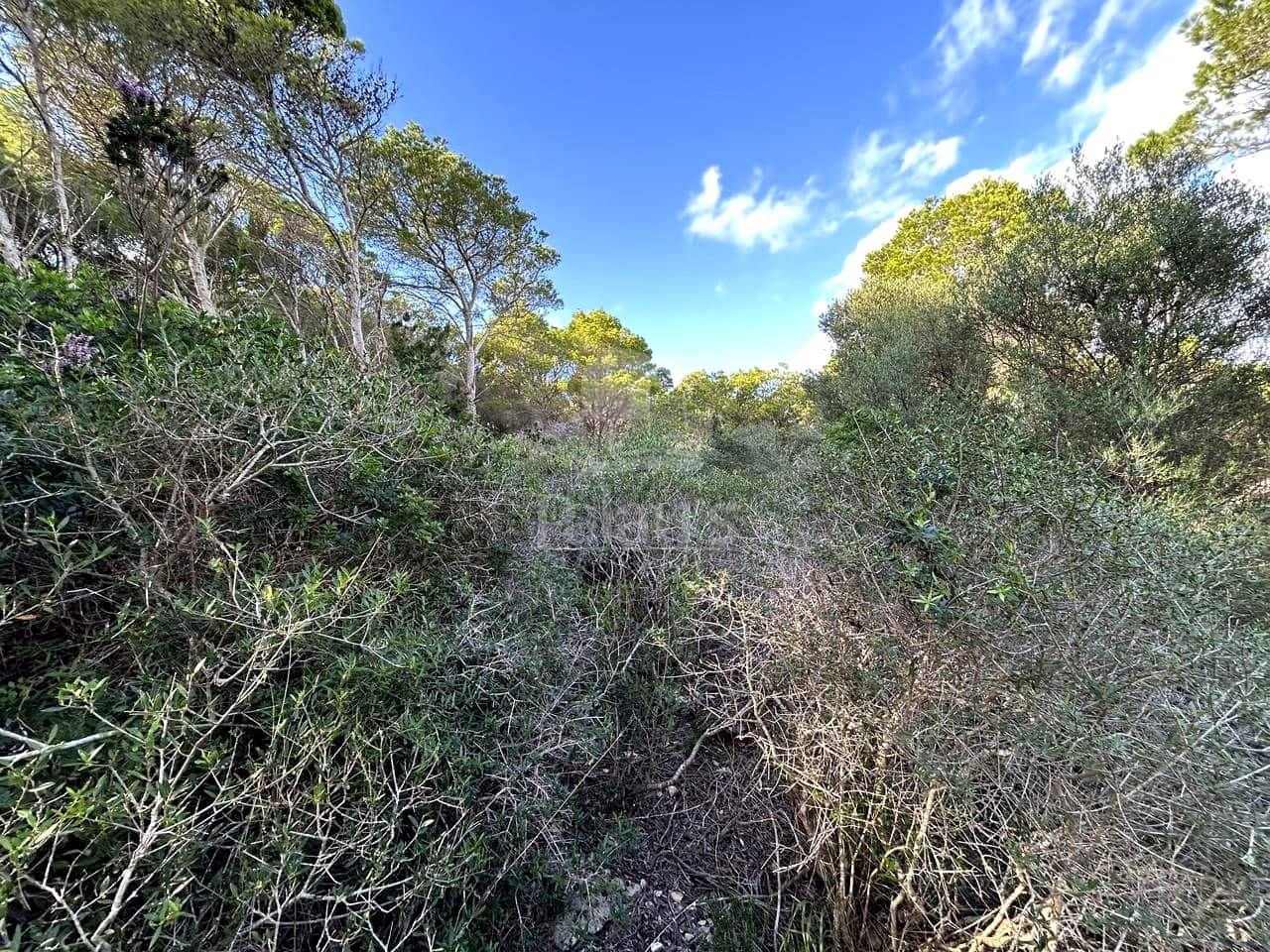 Teren niezagospodarowany na sprzedaż w Ciutadella de Menorca - 80 000 € (Ref: 9515951)