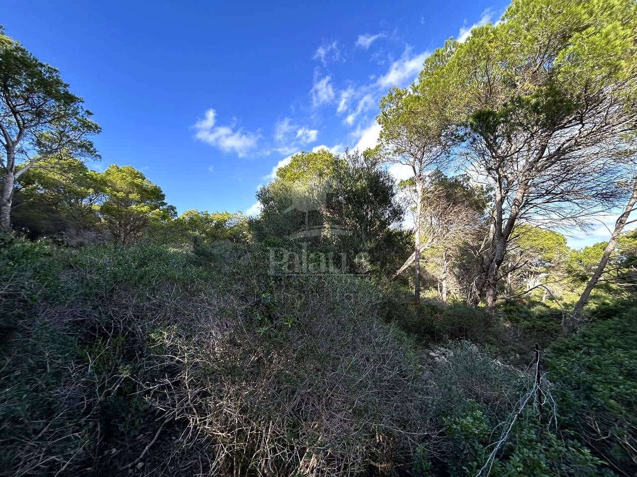 Teren niezagospodarowany na sprzedaż w Ciutadella de Menorca - 80 000 € (Ref: 9515951)