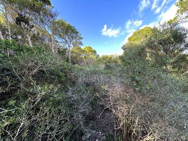 Teren niezagospodarowany na sprzedaż w Ciutadella de Menorca - 80 000 € (Ref: 9515951)