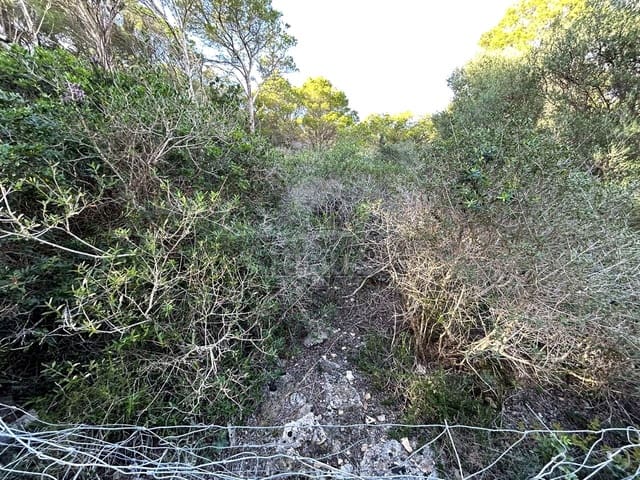 Teren niezagospodarowany na sprzedaż w Ciutadella de Menorca - 80 000 € (Ref: 9515951)