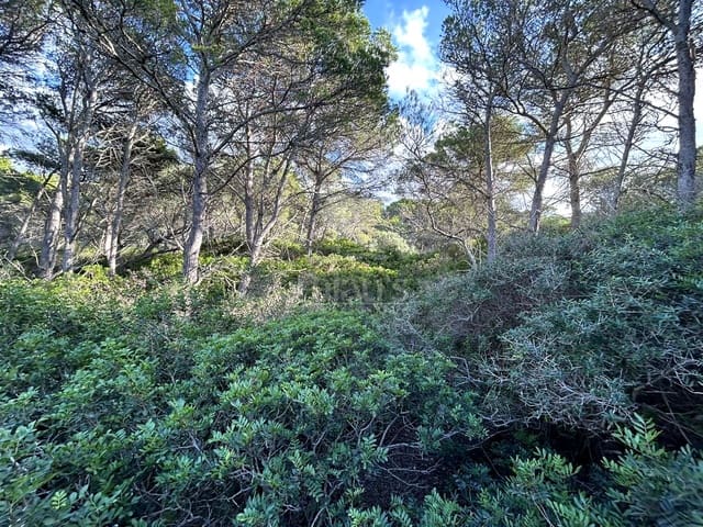 Teren niezagospodarowany na sprzedaż w Ciutadella de Menorca - 80 000 € (Ref: 9515951)