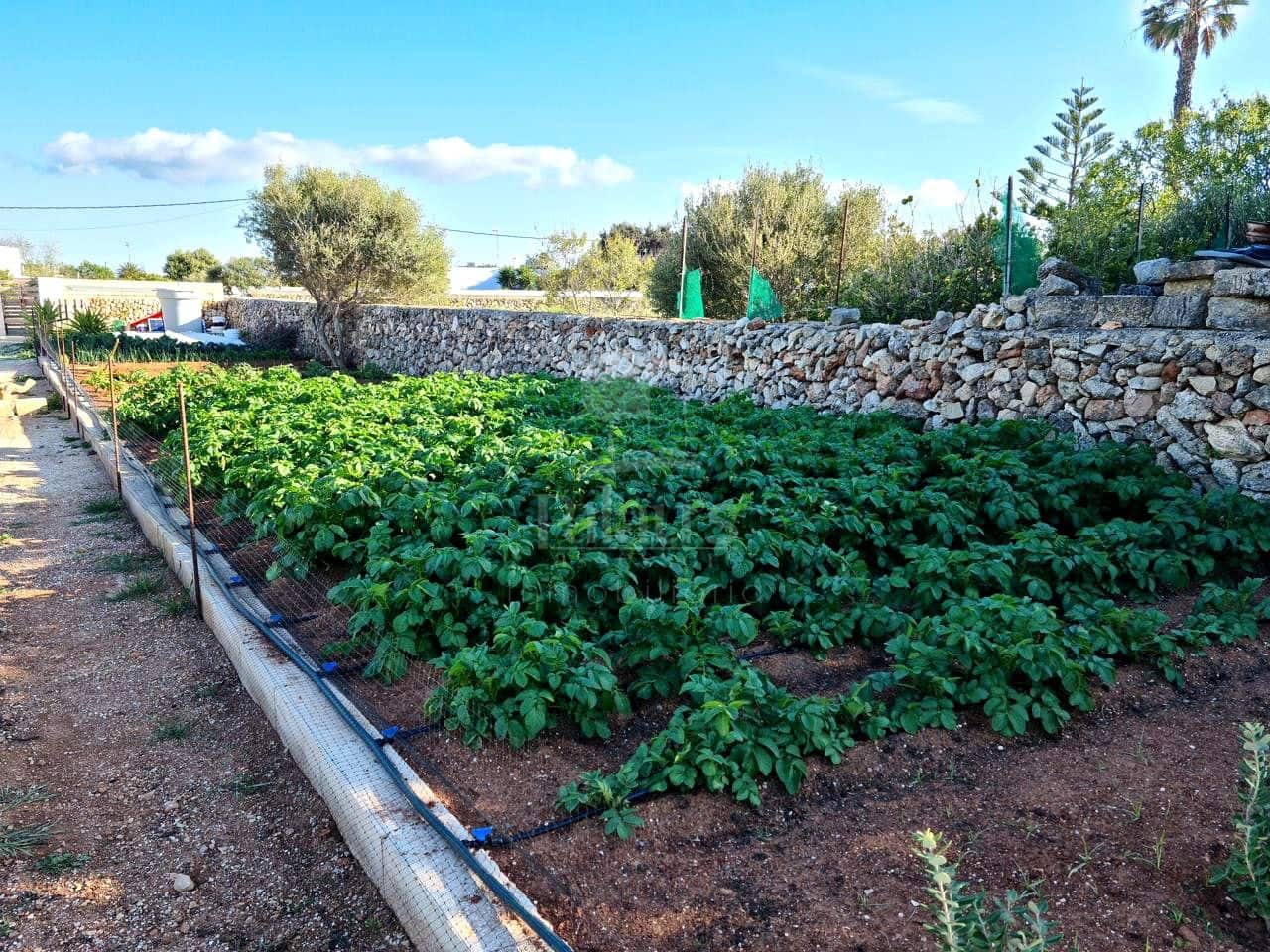 Teren niezagospodarowany na sprzedaż w Ciutadella de Menorca - 139 000 € (Ref: 9515955)