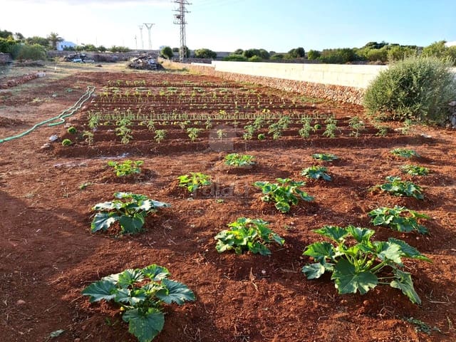 Teren niezagospodarowany na sprzedaż w Ciutadella, Ciutadella de Menorca - 139 000 € (Ref: 9515955)