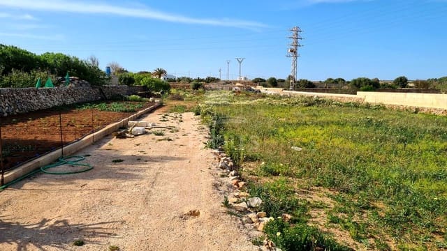 Teren niezagospodarowany na sprzedaż w Ciutadella, Ciutadella de Menorca - 139 000 € (Ref: 9515955)