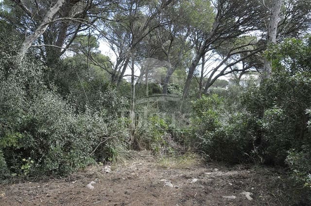 Teren niezagospodarowany na sprzedaż w Cala Morell, Ciutadella de Menorca - 150 000 € (Ref: 9515959)