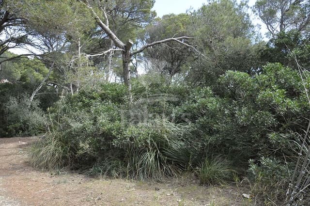 Teren niezagospodarowany na sprzedaż w Cala Morell, Ciutadella de Menorca - 150 000 € (Ref: 9515959)