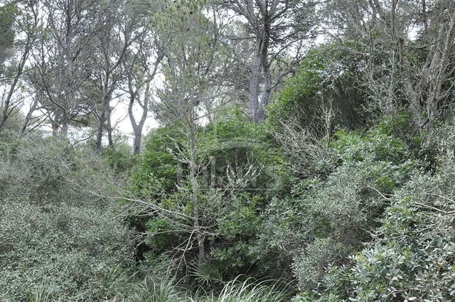 Teren niezagospodarowany na sprzedaż w Cala Morell, Ciutadella de Menorca - 150 000 € (Ref: 9515959)