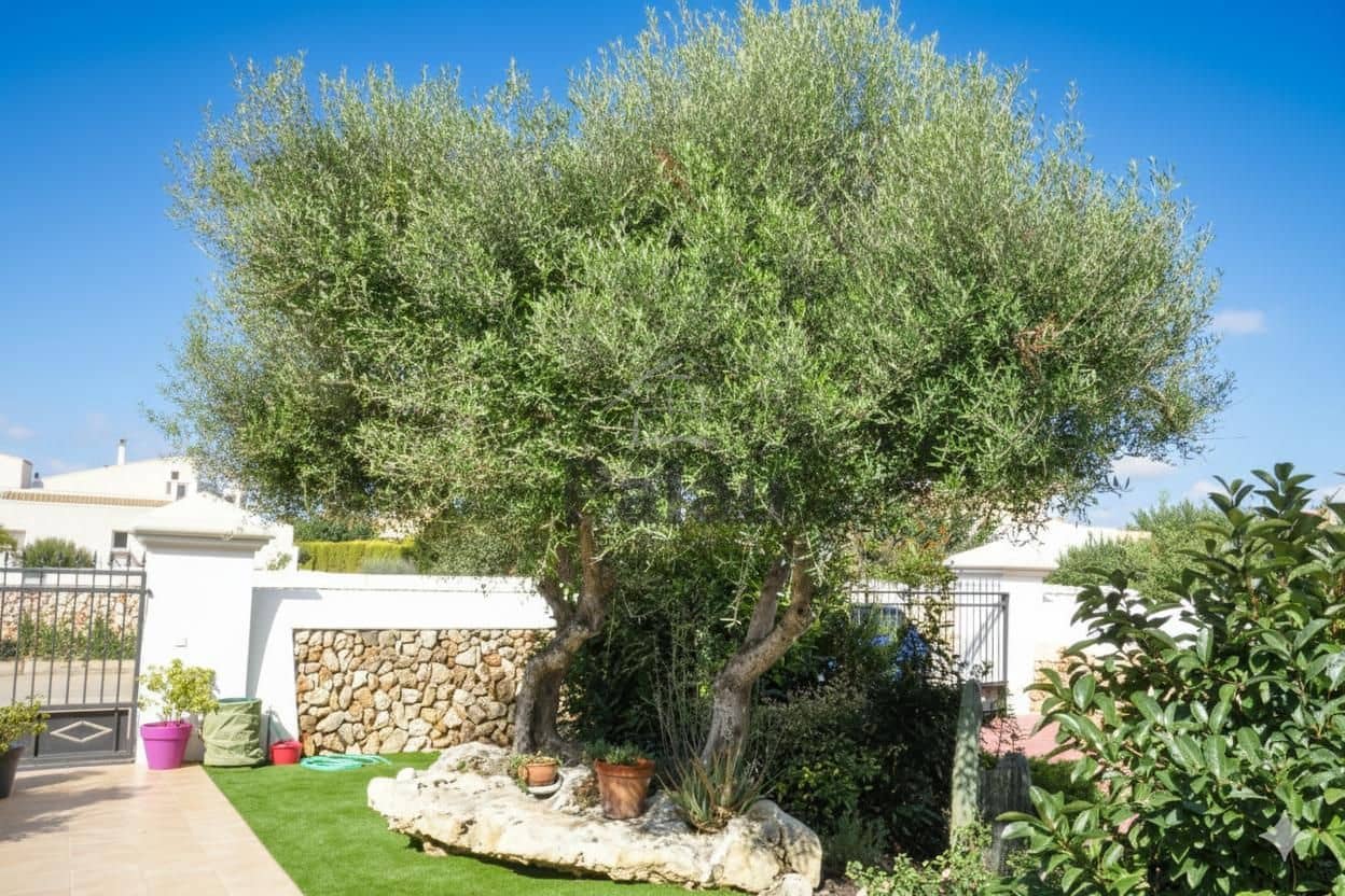4 bedroom Villa for sale in Ciutadella de Menorca with pool - € 1,750,000 (Ref: 9515969)
