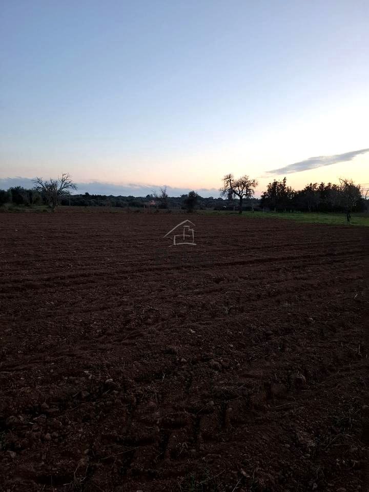 Grunde uden byggetilladelser til salg i Felanitx - € 340.000 (Ref: 9566469)