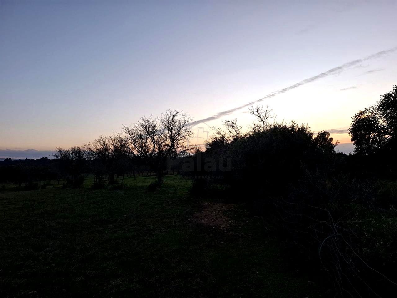 Grunde uden byggetilladelser til salg i Felanitx - € 340.000 (Ref: 9566469)