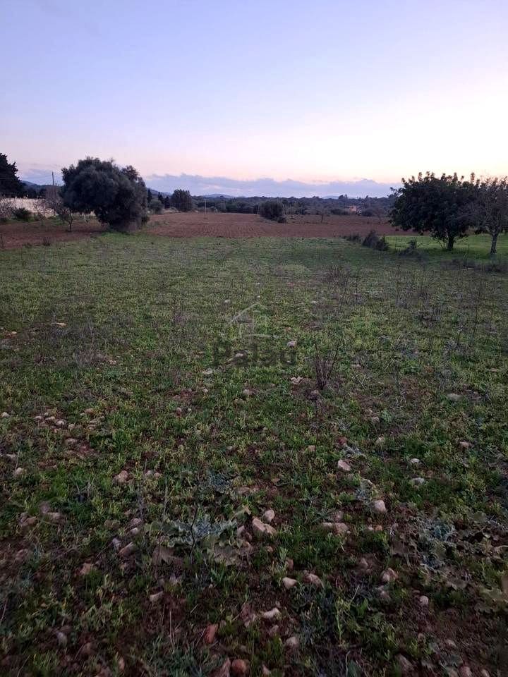 Grunde uden byggetilladelser til salg i Felanitx - € 340.000 (Ref: 9566469)