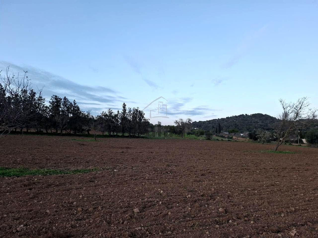 Grunde uden byggetilladelser til salg i Felanitx - € 340.000 (Ref: 9566469)