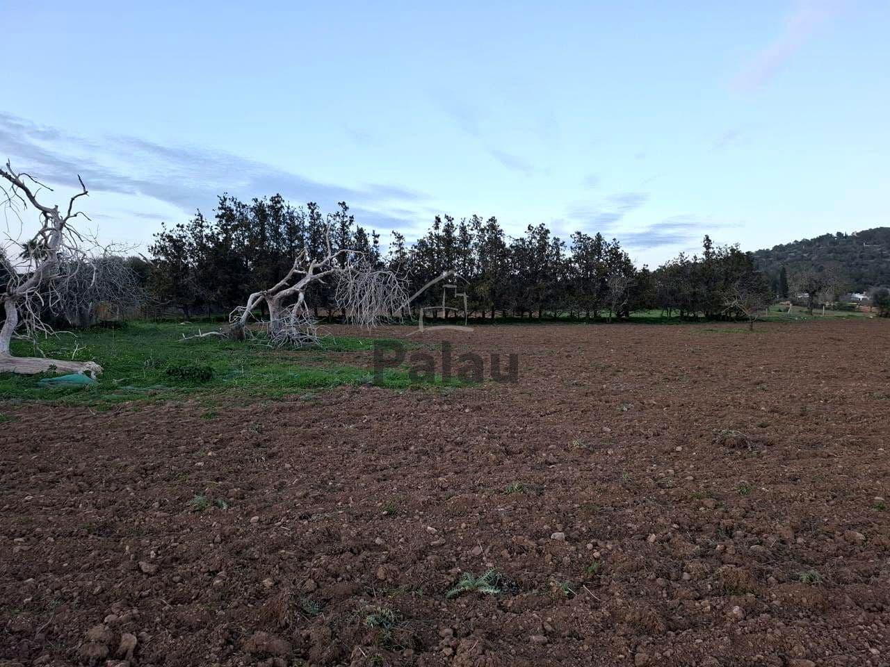 Grunde uden byggetilladelser til salg i Felanitx - € 340.000 (Ref: 9566469)