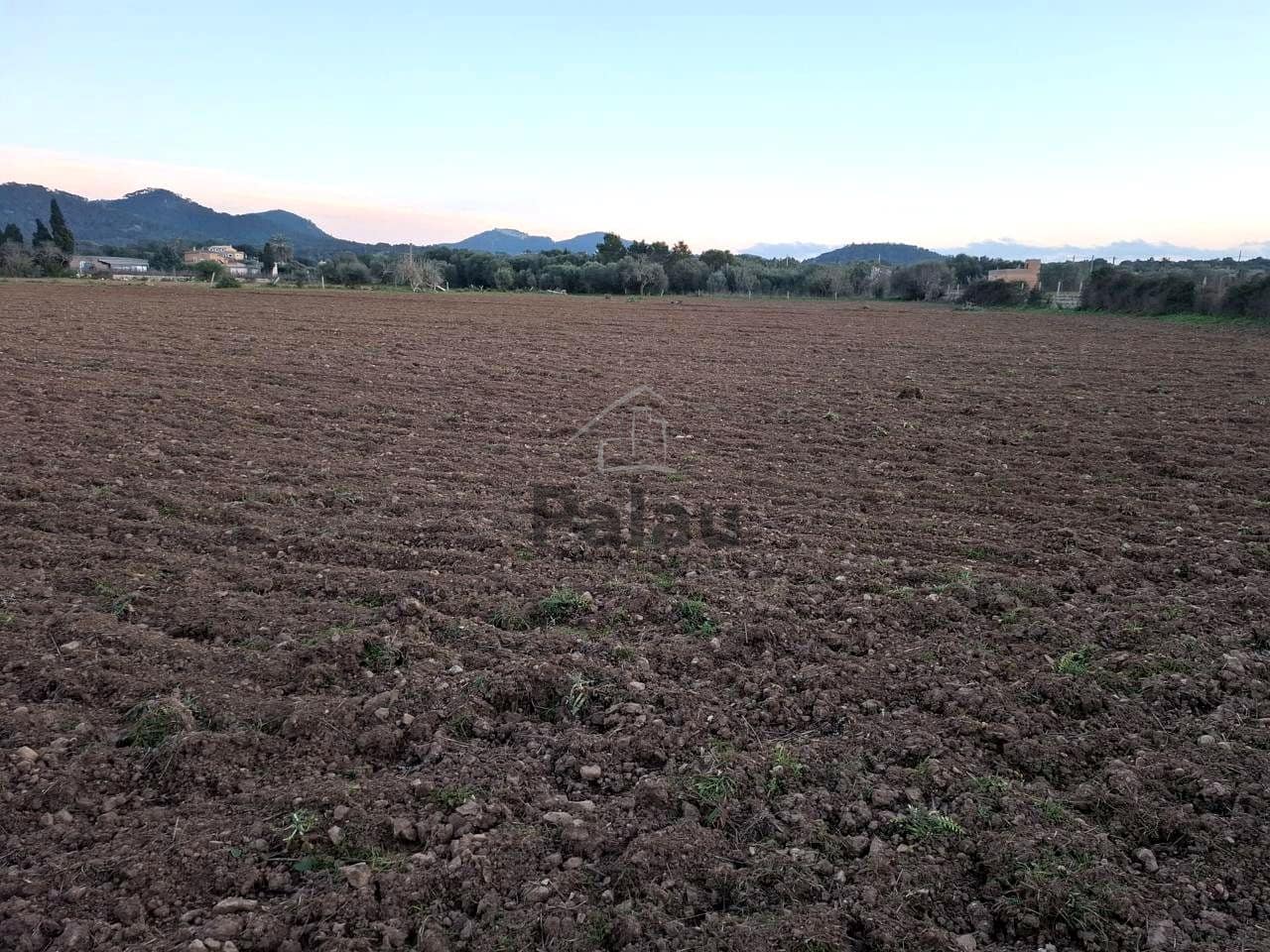 Grunde uden byggetilladelser til salg i Felanitx - € 340.000 (Ref: 9566469)