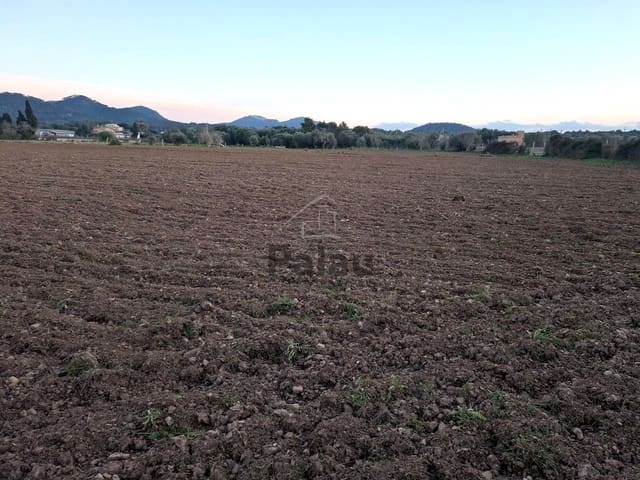 Grunde uden byggetilladelser til salg i Felanitx - € 340.000 (Ref: 9566469)