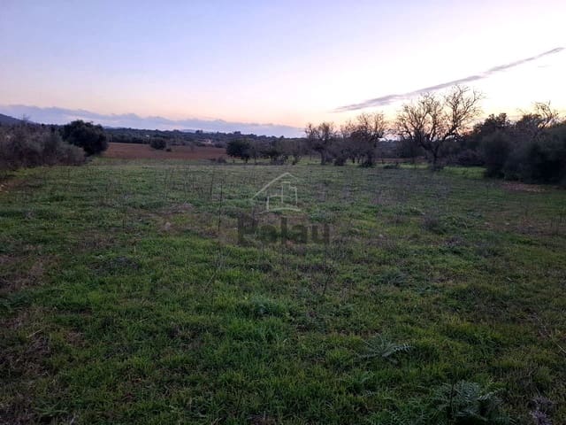 Grunde uden byggetilladelser til salg i Felanitx - € 340.000 (Ref: 9566469)