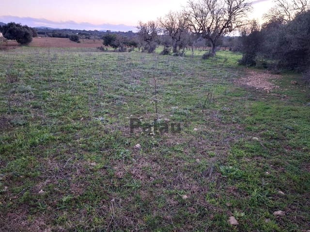 Grunde uden byggetilladelser til salg i Felanitx - € 340.000 (Ref: 9566469)