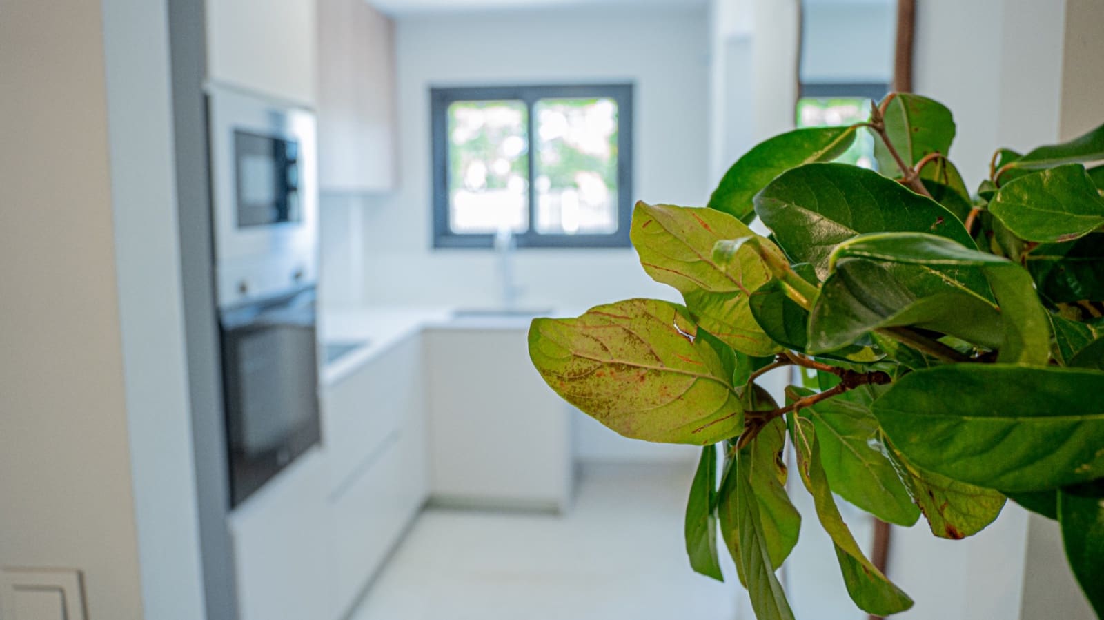 3 Zimmer Apartment zu verkaufen in Javea / Xabia mit Pool Garage - 470.000 € (Ref: 9820937)