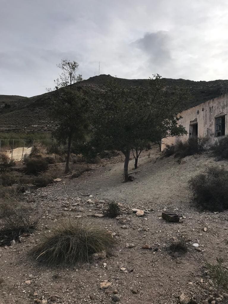 Grunde uden byggetilladelser til salg i Vicar - € 212.000 (Ref: 9975720)