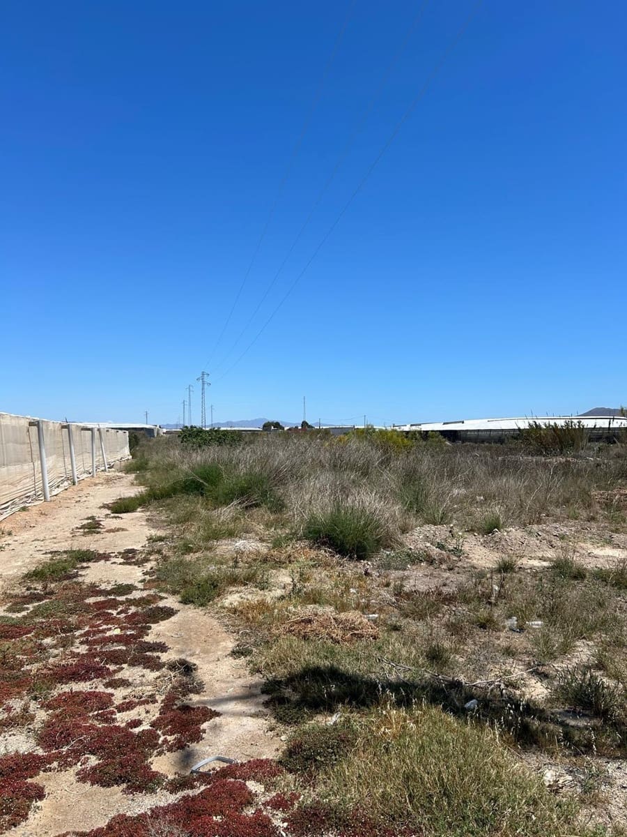 Ubebygd land til salgs i Nijar - € 230 000 (Ref: 9975725)