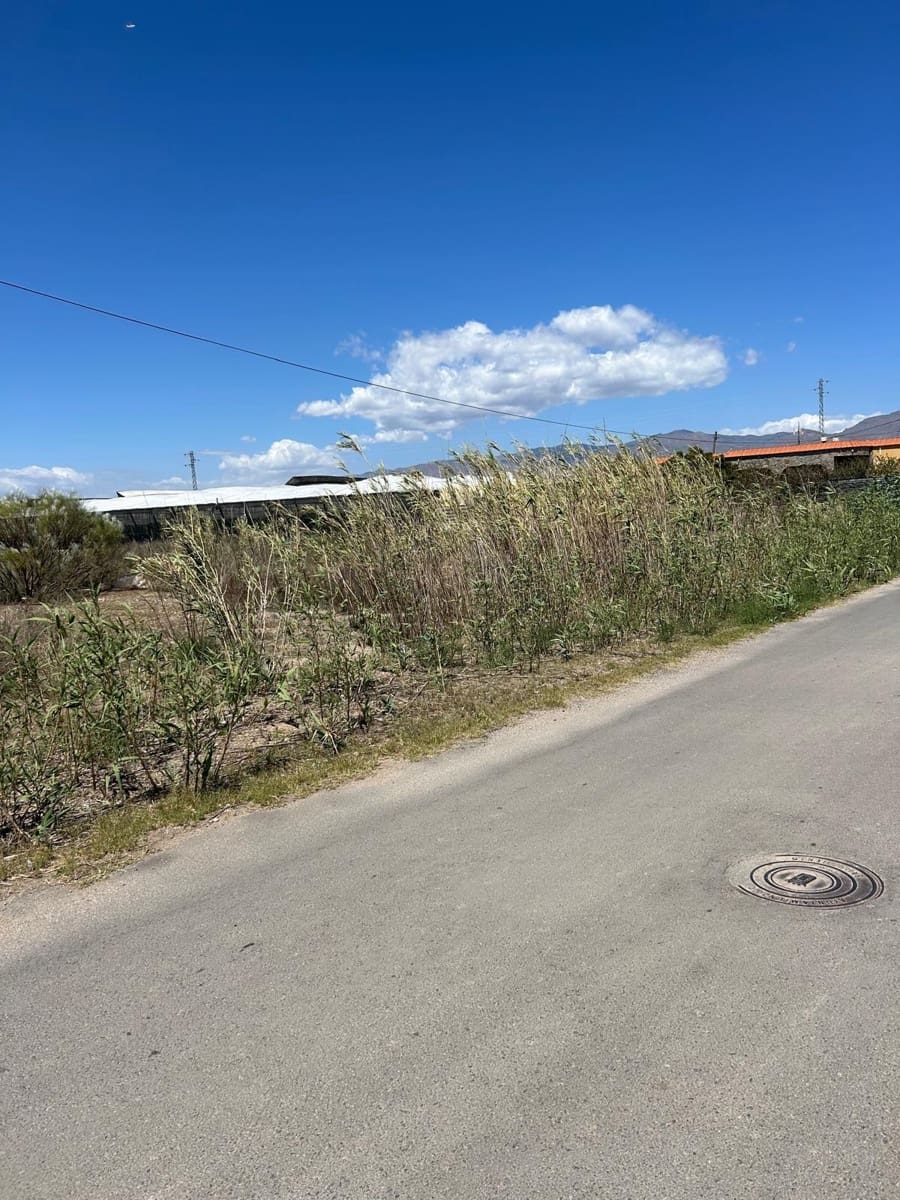 Ubebygd land til salgs i Nijar - € 230 000 (Ref: 9975725)