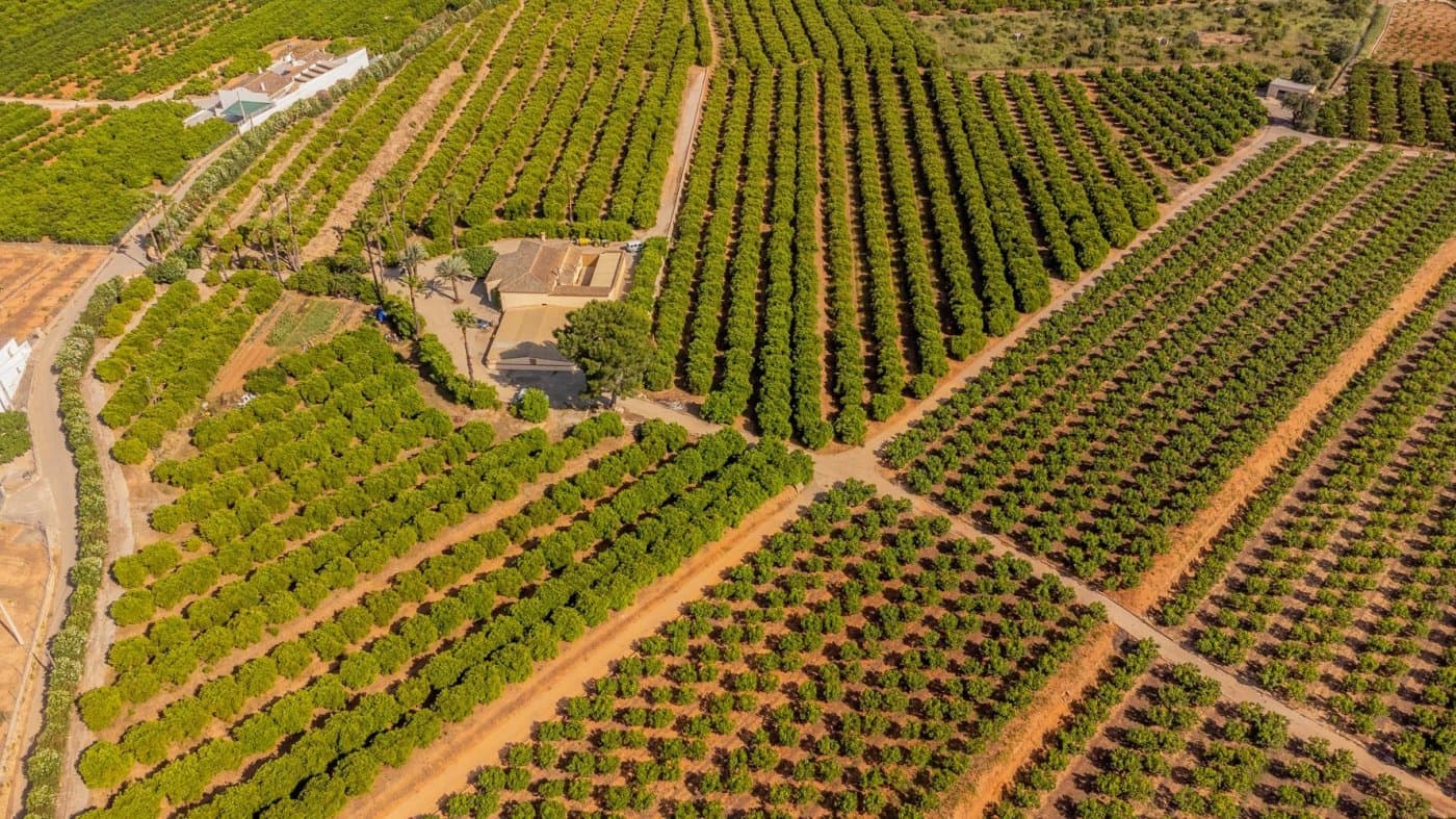 2 soveværelse Finca/Landehus til salg i L'Enova med garage - € 600.000 (Ref: 6904521)