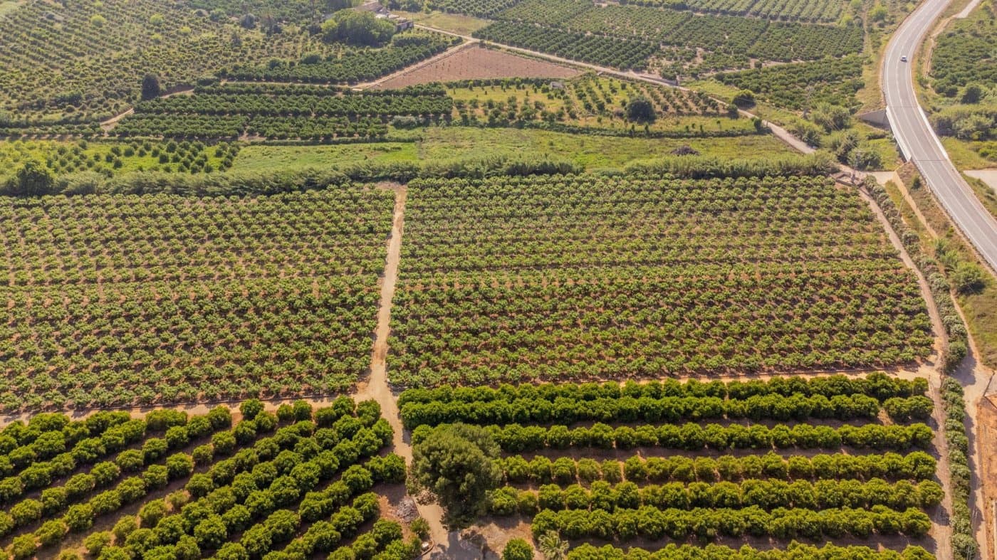 2 soveværelse Finca/Landehus til salg i L'Enova med garage - € 600.000 (Ref: 6904521)