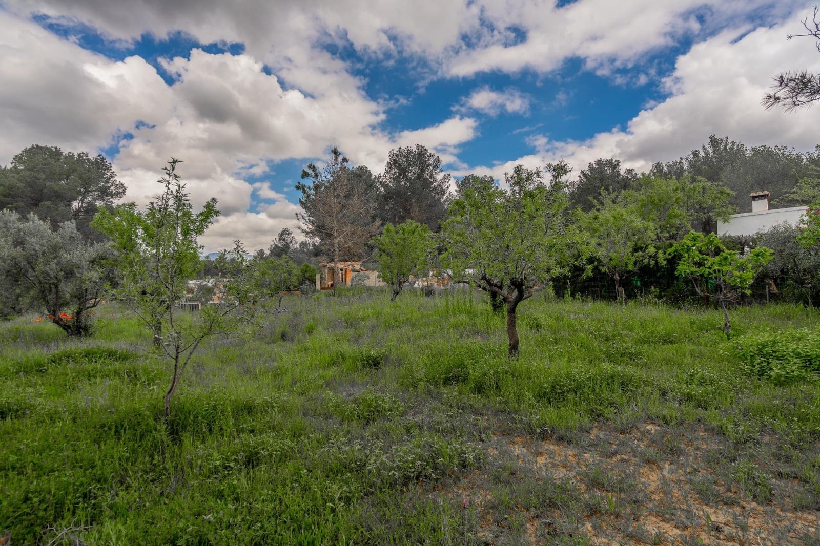 3 soveværelse Finca/Landehus til salg i Jerica - € 40.000 (Ref: 9003296)