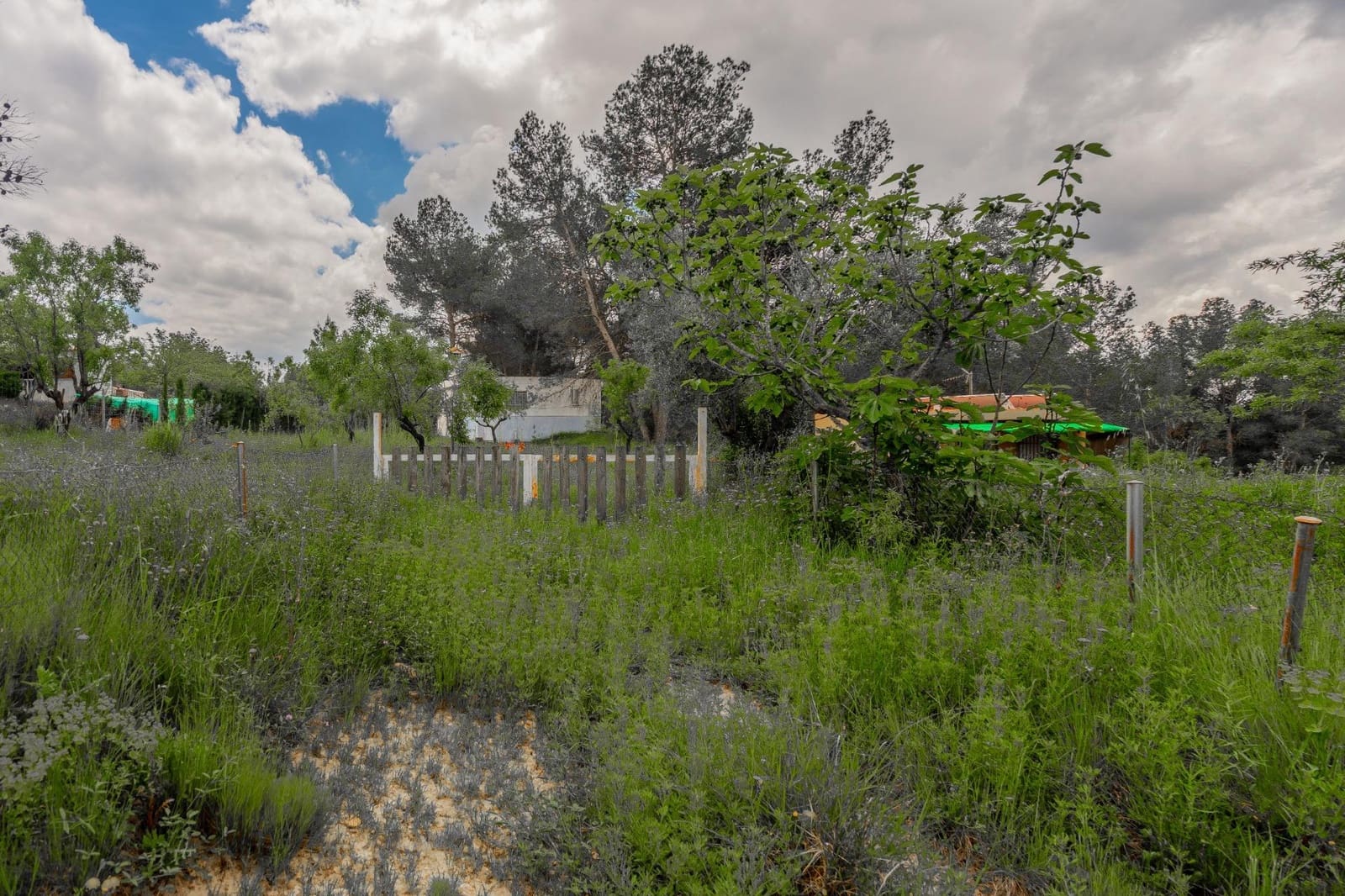 3 soveværelse Finca/Landehus til salg i Jerica - € 40.000 (Ref: 9003296)