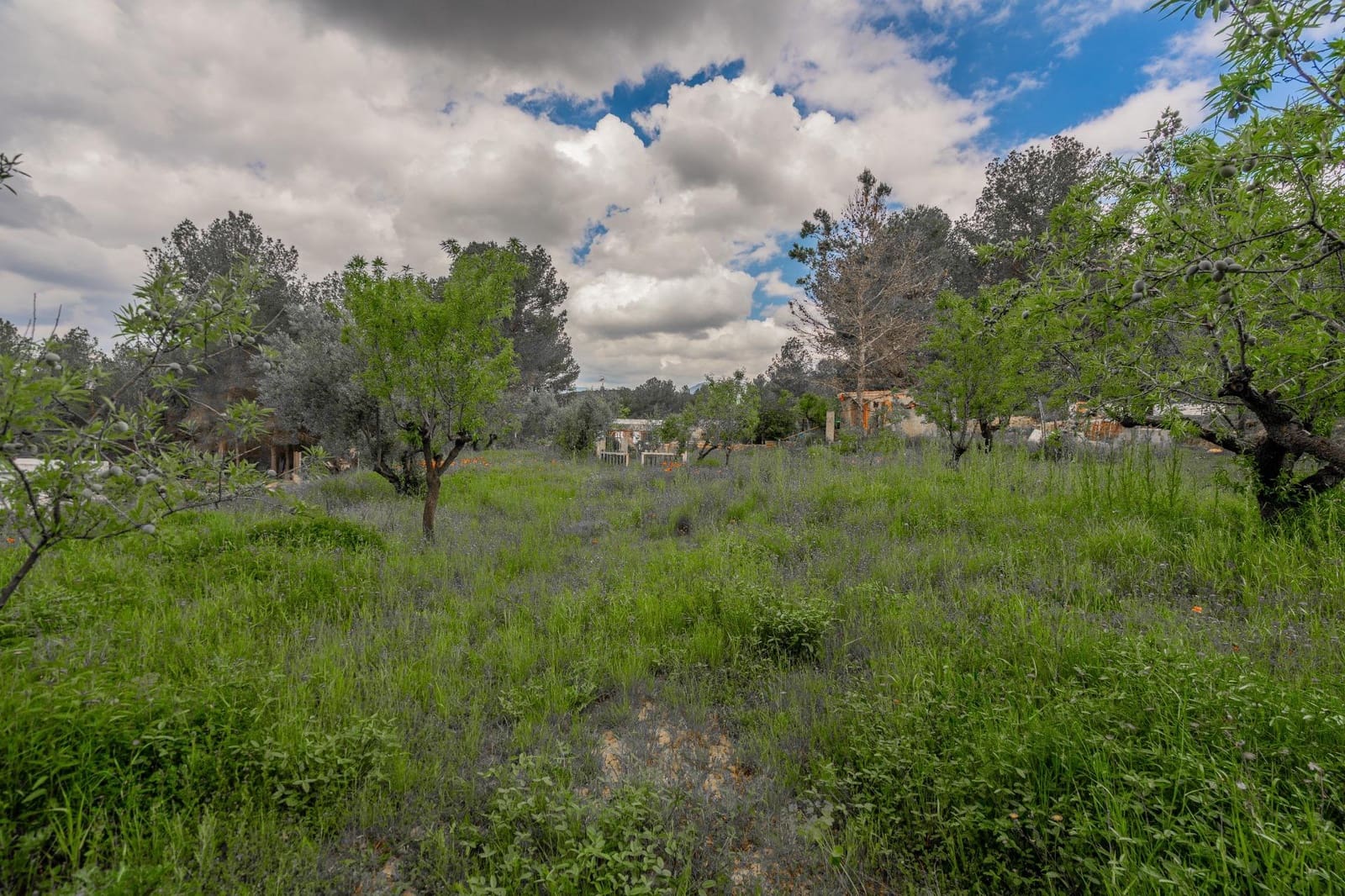 3 soveværelse Finca/Landehus til salg i Jerica - € 40.000 (Ref: 9003296)