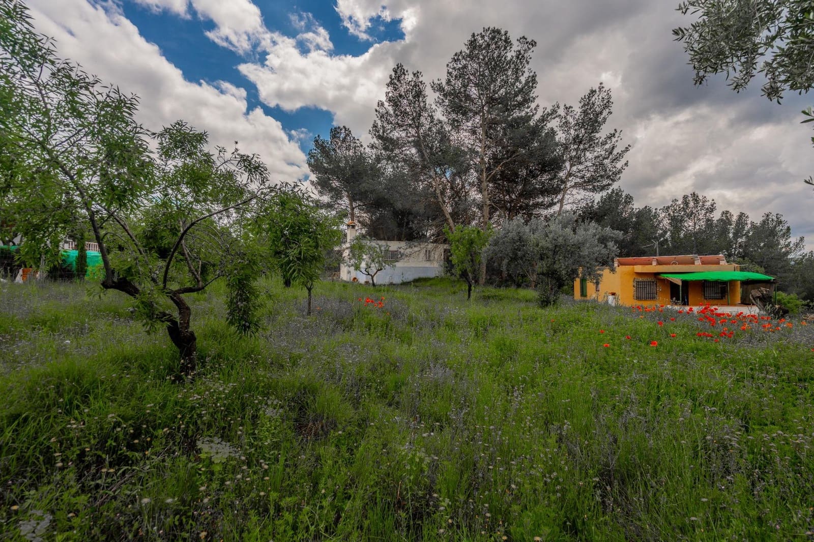 3 soveværelse Finca/Landehus til salg i Jerica - € 40.000 (Ref: 9003296)