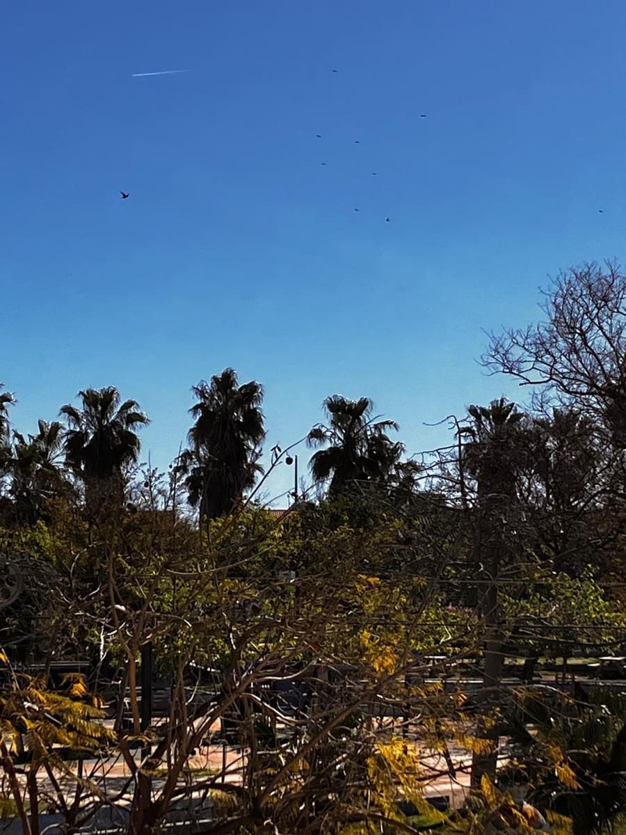 3 sovrum Lägenhet till salu i Valencia stad - 195 000 € (Ref: 9799416)