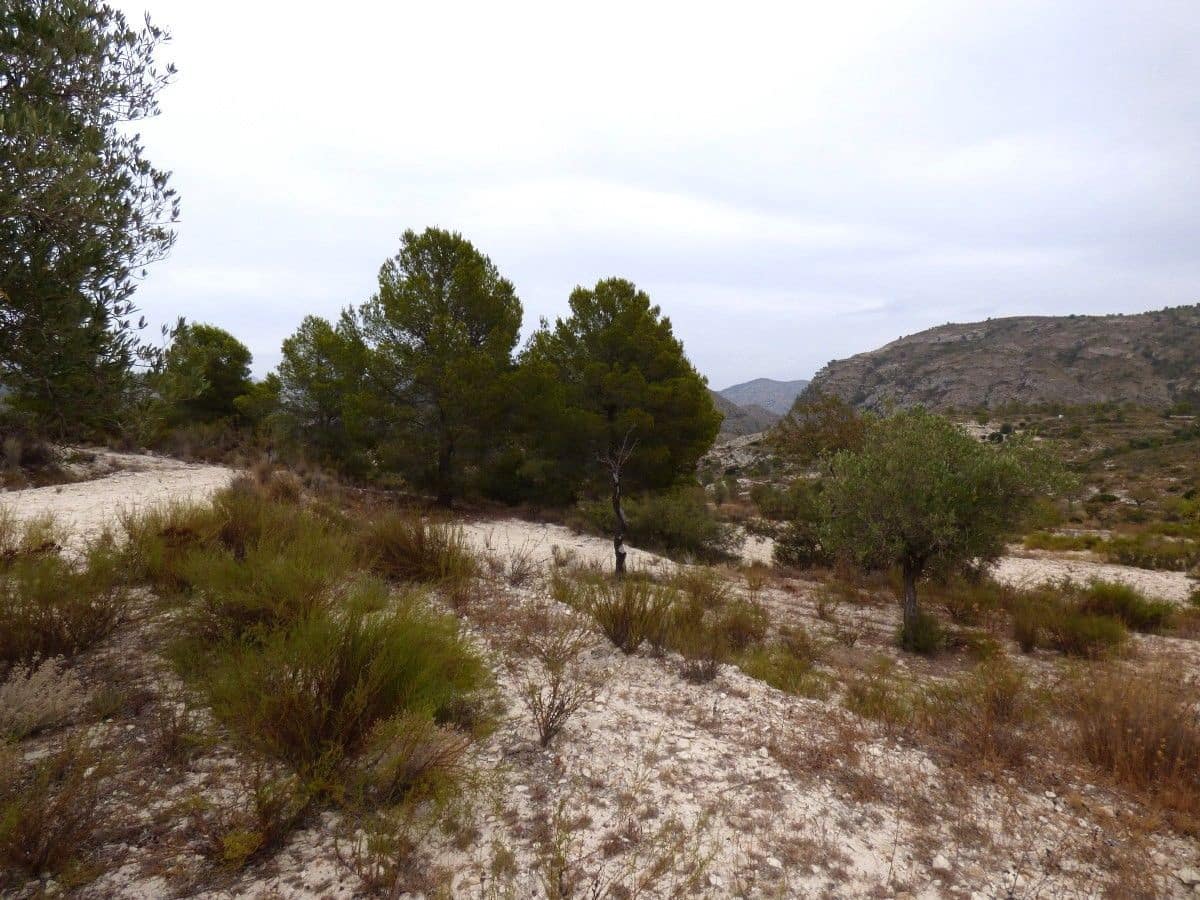 Grunde uden byggetilladelser til salg i Relleu - € 39.000 (Ref: 10007169)