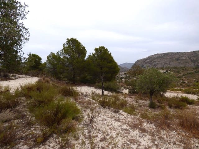 Grunde uden byggetilladelser til salg i Relleu - € 39.000 (Ref: 10007169)