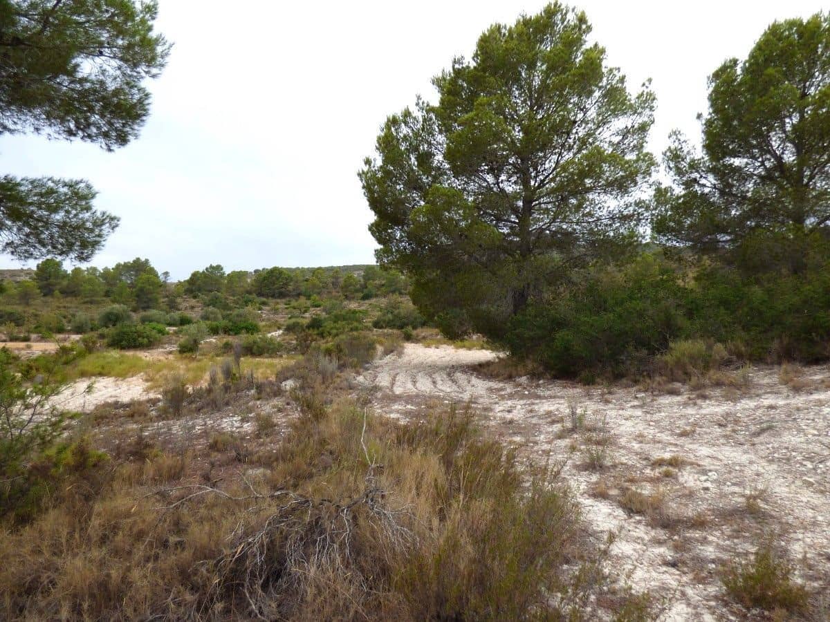 Grunde uden byggetilladelser til salg i Relleu - € 39.000 (Ref: 10007169)