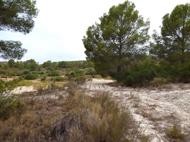 Grunde uden byggetilladelser til salg i Relleu - € 39.000 (Ref: 10007169)