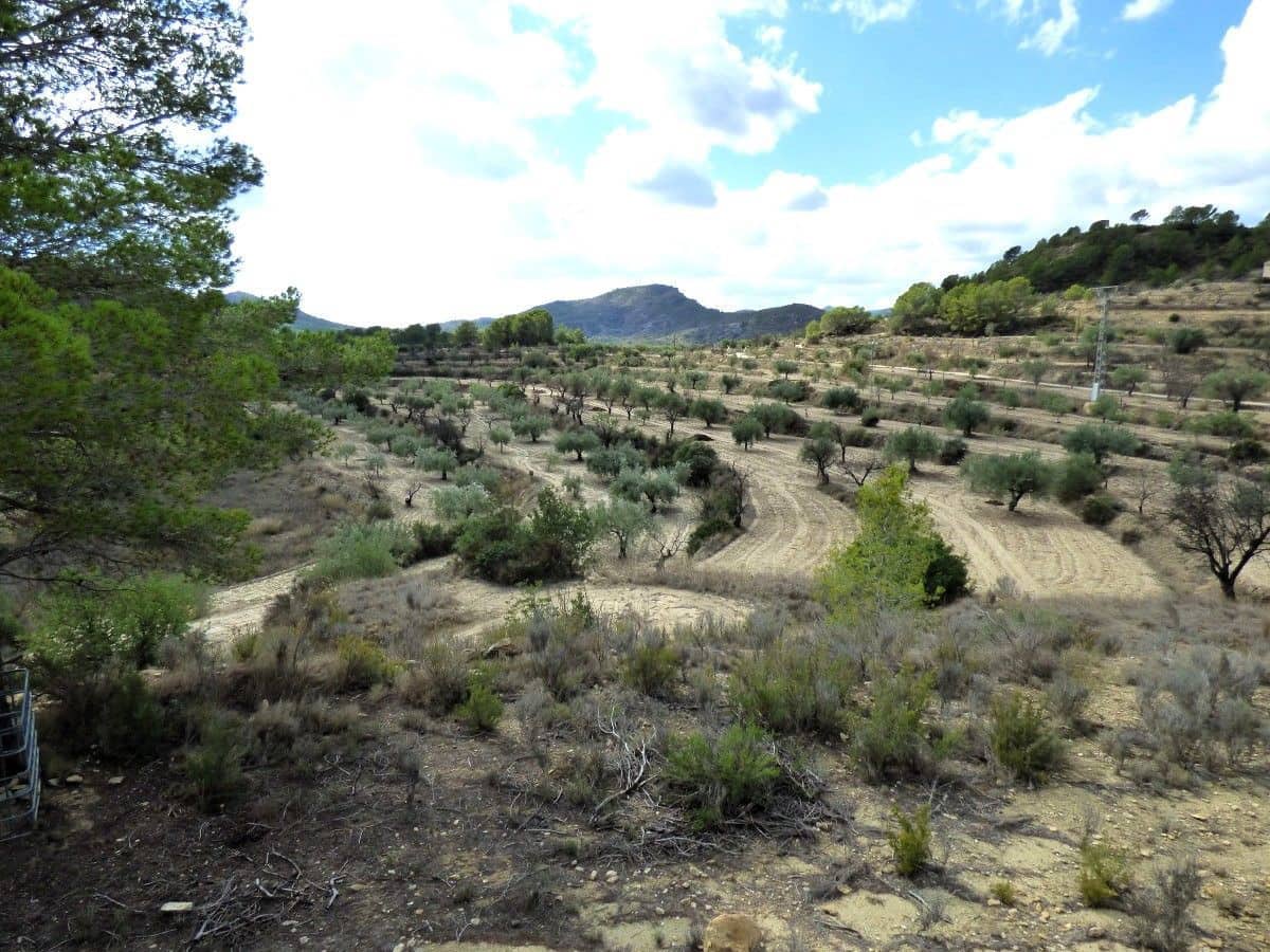 Grond te koop in Relleu - € 62.000 (Ref: 10168244)