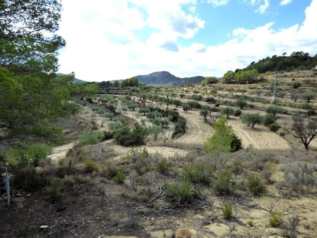Ubebygd land til salgs i Relleu - € 62 000 (Ref: 10168244)