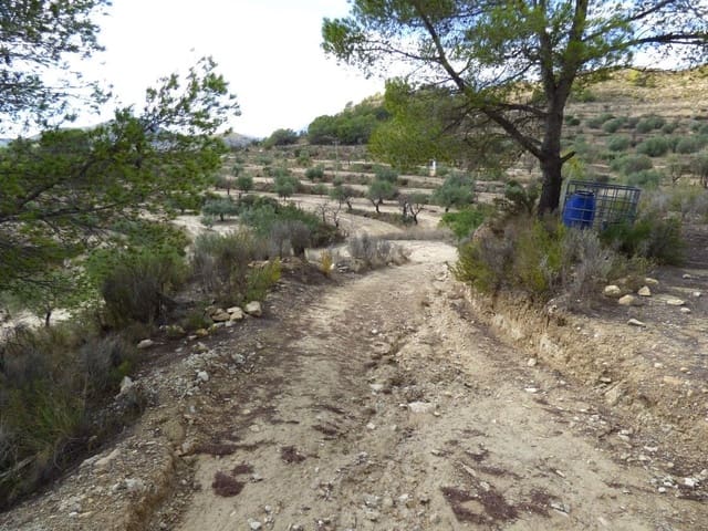 Ubebygd land til salgs i Relleu - € 62 000 (Ref: 10168244)
