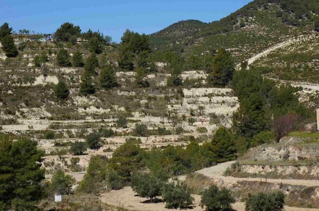 Grond te koop in Torremanzanas - € 63.000 (Ref: 6303079)